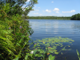 Lake Lacawac is a 52 acre galacial lake and a National Natural Landmark