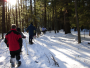 Snowshoeing