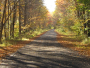 Rails and Trails in the Fall