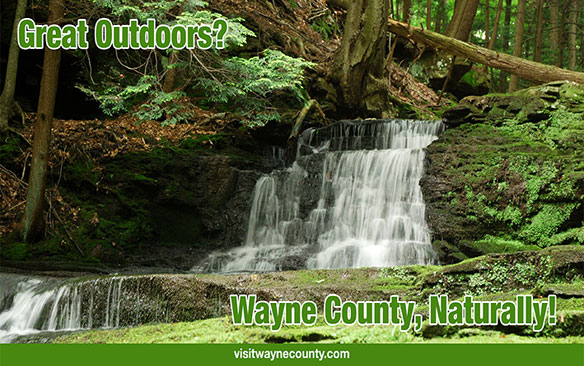 Great Outdoors?, Wayne County Naturally
