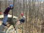 Rock Climbing in the Pocono Mountains