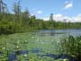 Lacawac Sanctuary, Wayne County Pa