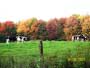 Fall Farming in Wayne County pa