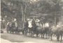 Wayne County Horse Drawn Carriage