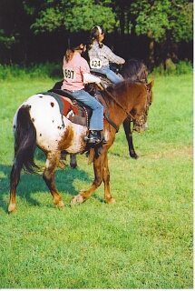 C&S Stables offers lessons, boarding trail rides, horse and pony sales and tack in Equinunk Wayne County Pennsylvania in the Pocono Mountains near the Upper Delaware River