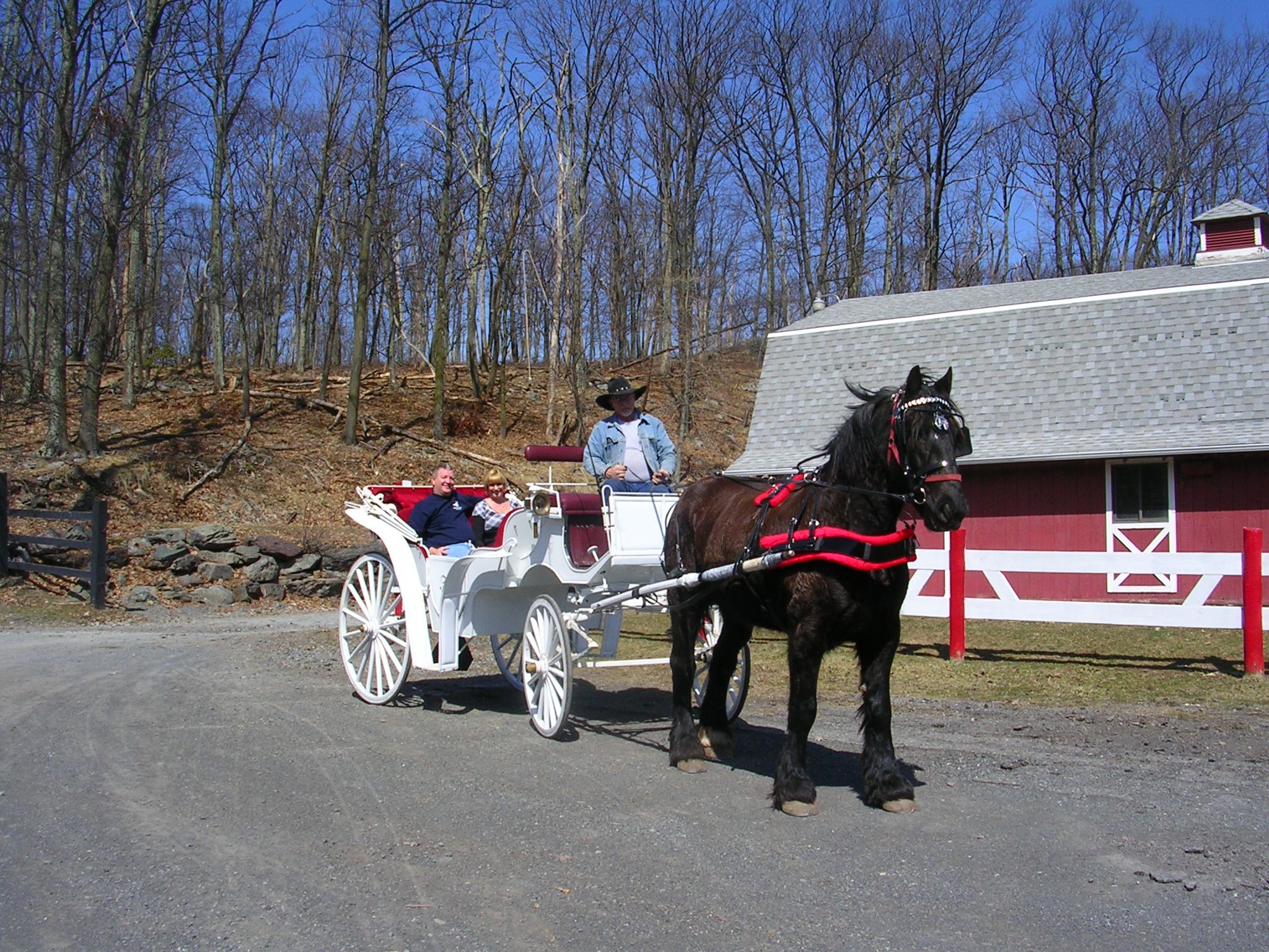 Happy Trails Riding Stables in the Pocono Mountains Hamlin western and english style saddles, trail rides, carriage, sleigh, and hay rides, boarding and horse sales